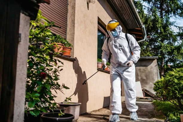 Best Pest Control Near Me in Lake City, SC