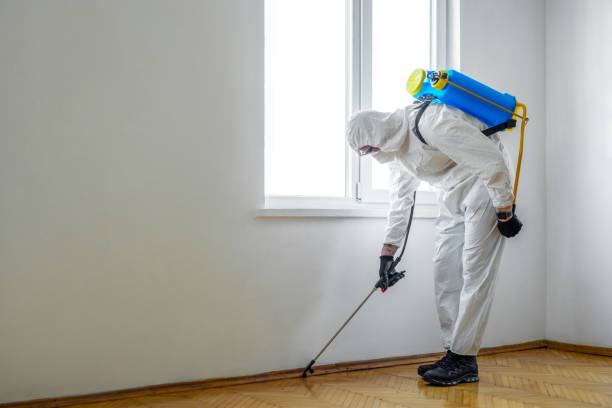 Best Best Pest Control Companies  in Lake City, SC