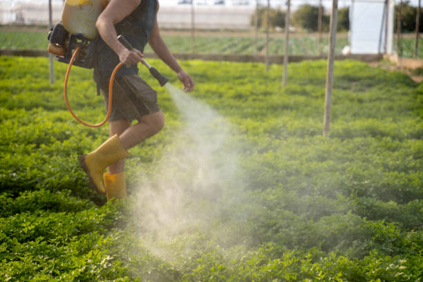 Best Commercial Pest Control Services  in Lake City, SC