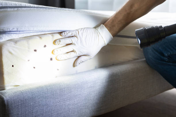 Best Best Pest Control Companies  in Lake City, SC